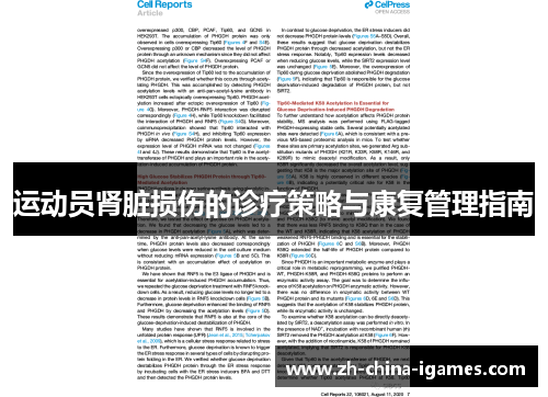 运动员肾脏损伤的诊疗策略与康复管理指南 运动员肾脏损伤的诊疗策略与康复管理指南